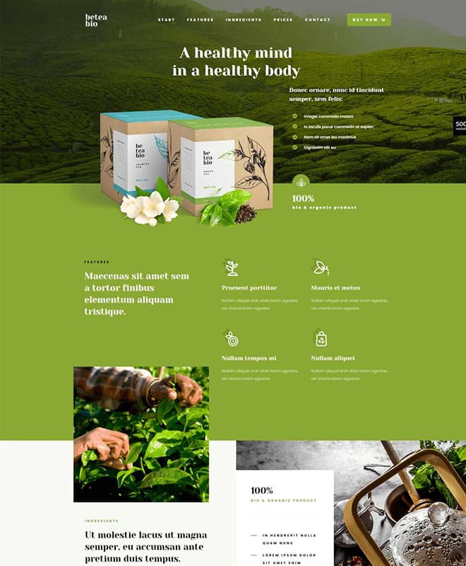 SEO Green Health